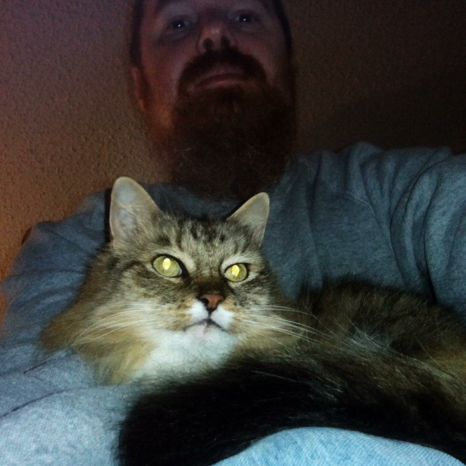 Cat selifies: Idgit and I
